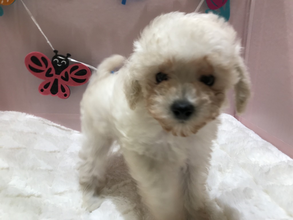 旭川店に来てくれました！