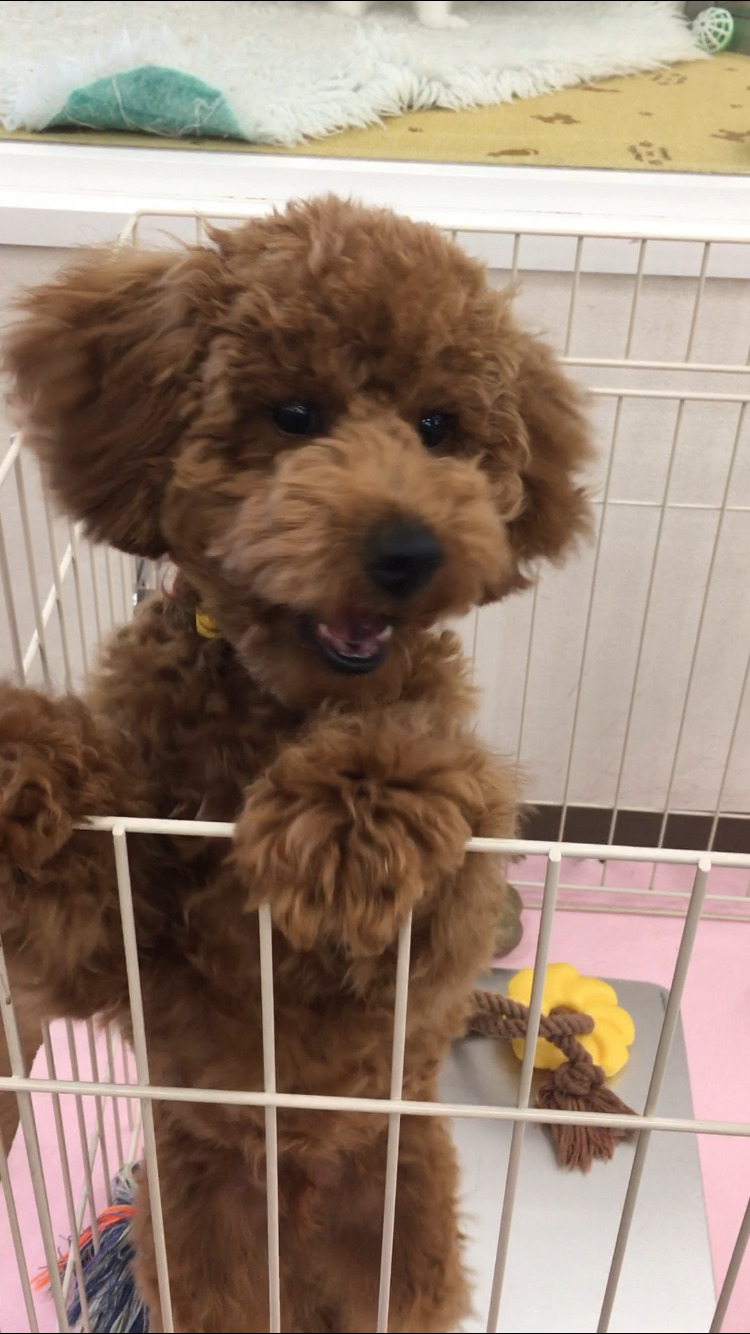 Ten・Ten Festa 2021 開催します‼