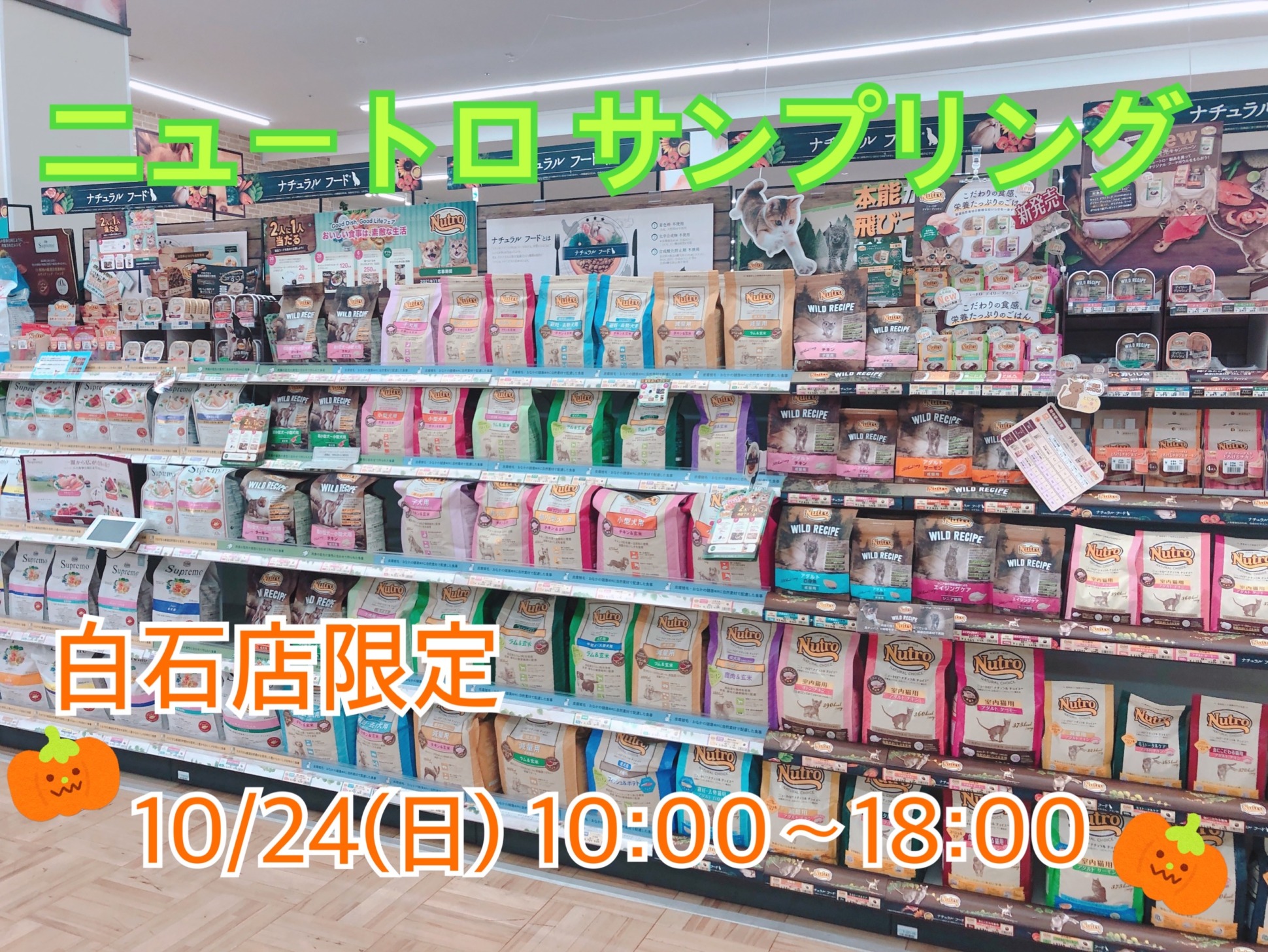 ✨サンプリング会✨