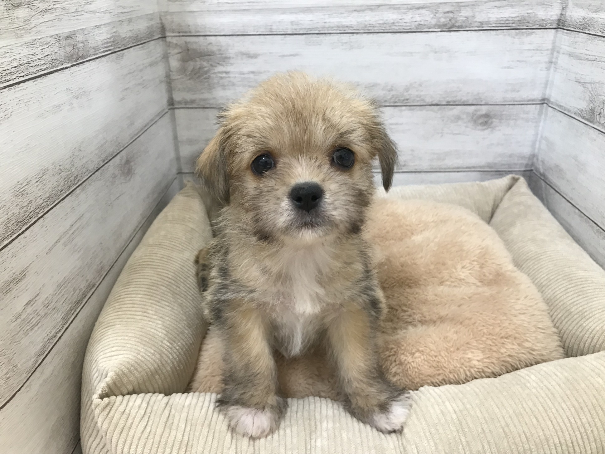 土日限定スペシャルプライス‼