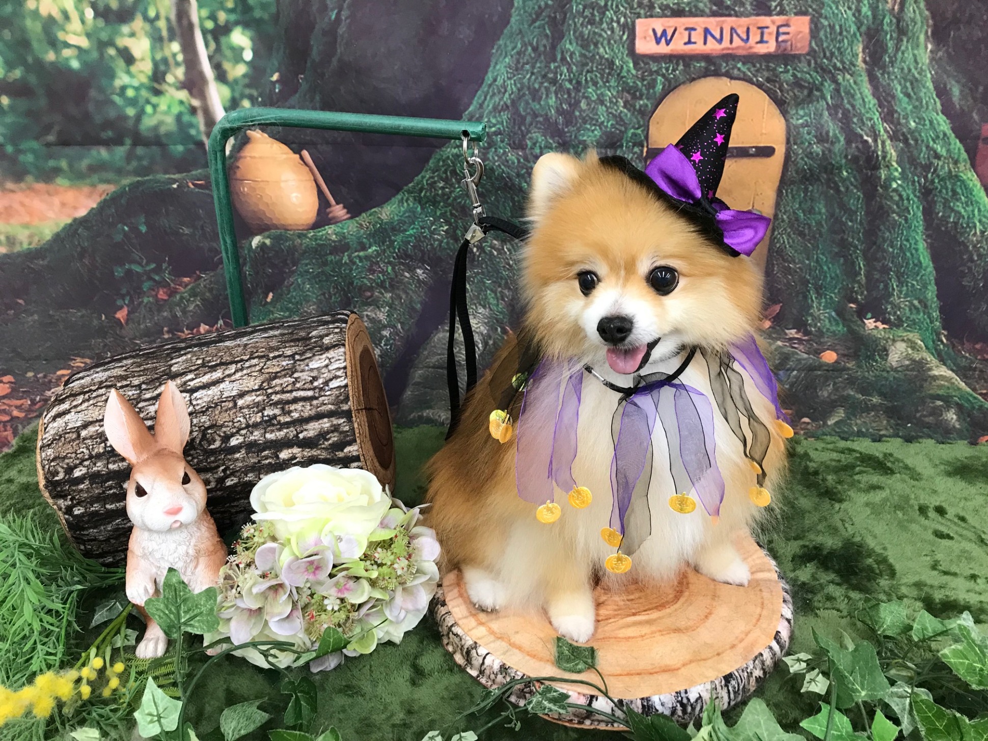 大好評！ふんわりさらさら新シャンプー♪