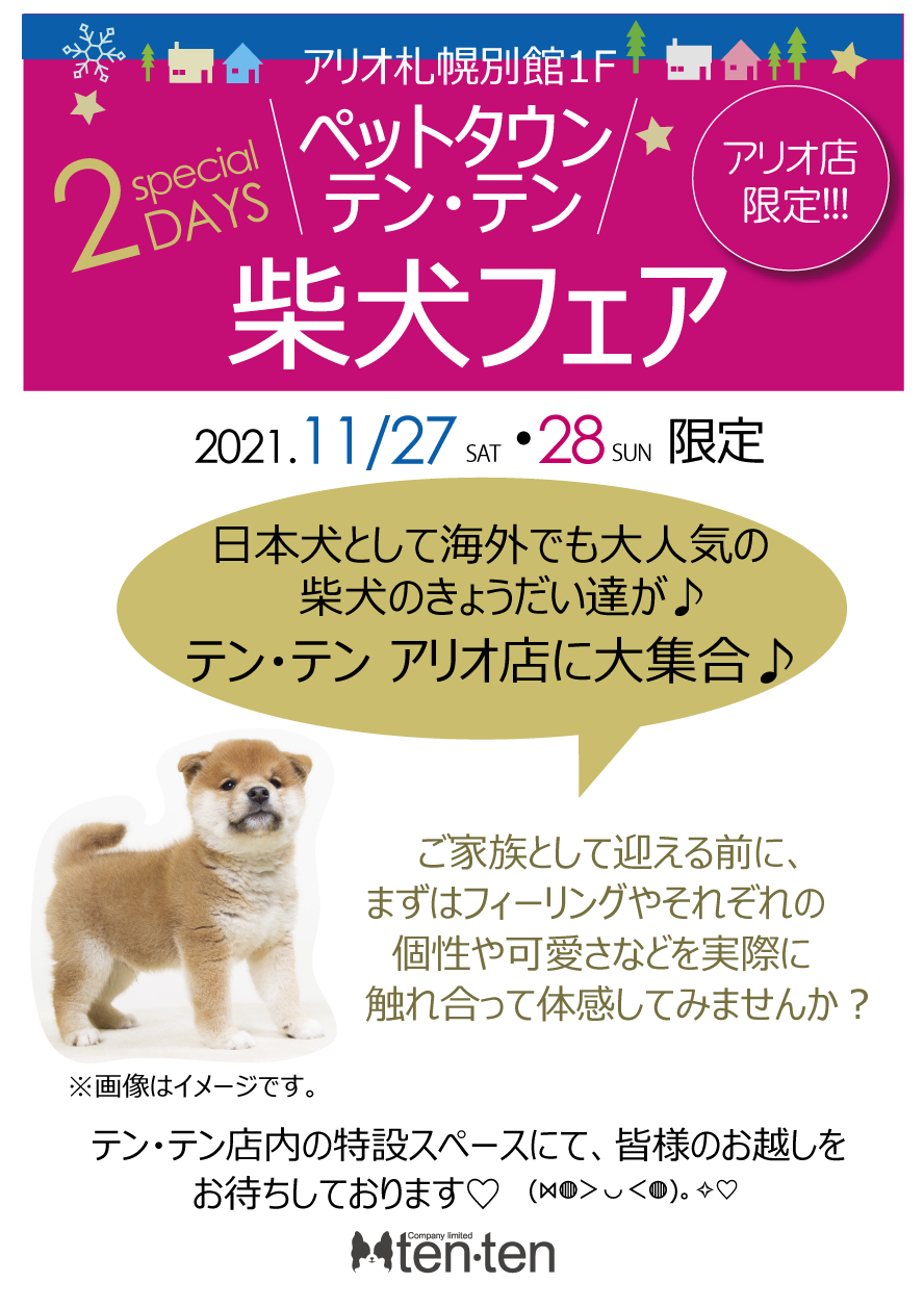 『柴犬フェア』のお知らせ‼