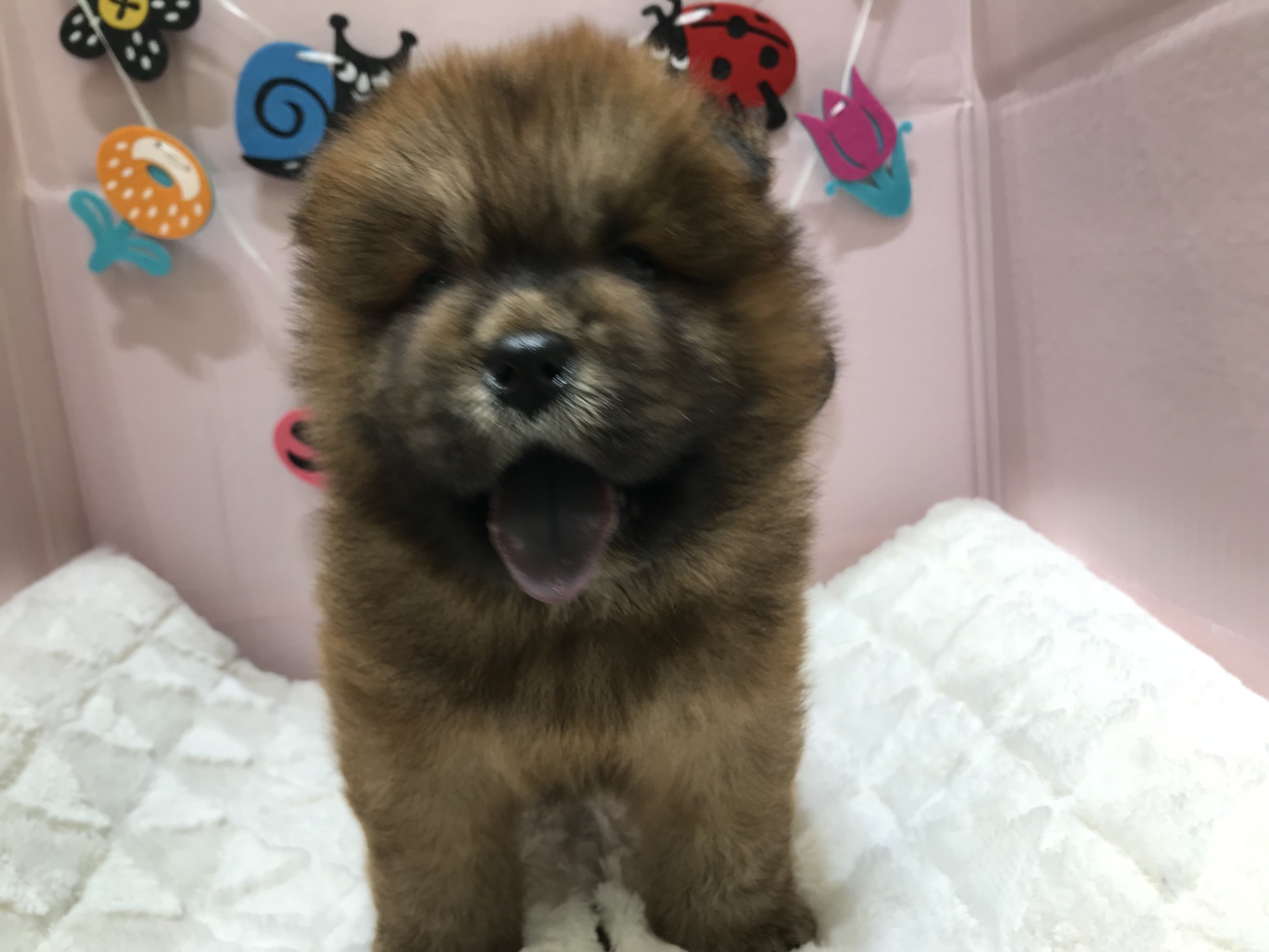 みなさんにご報告♪