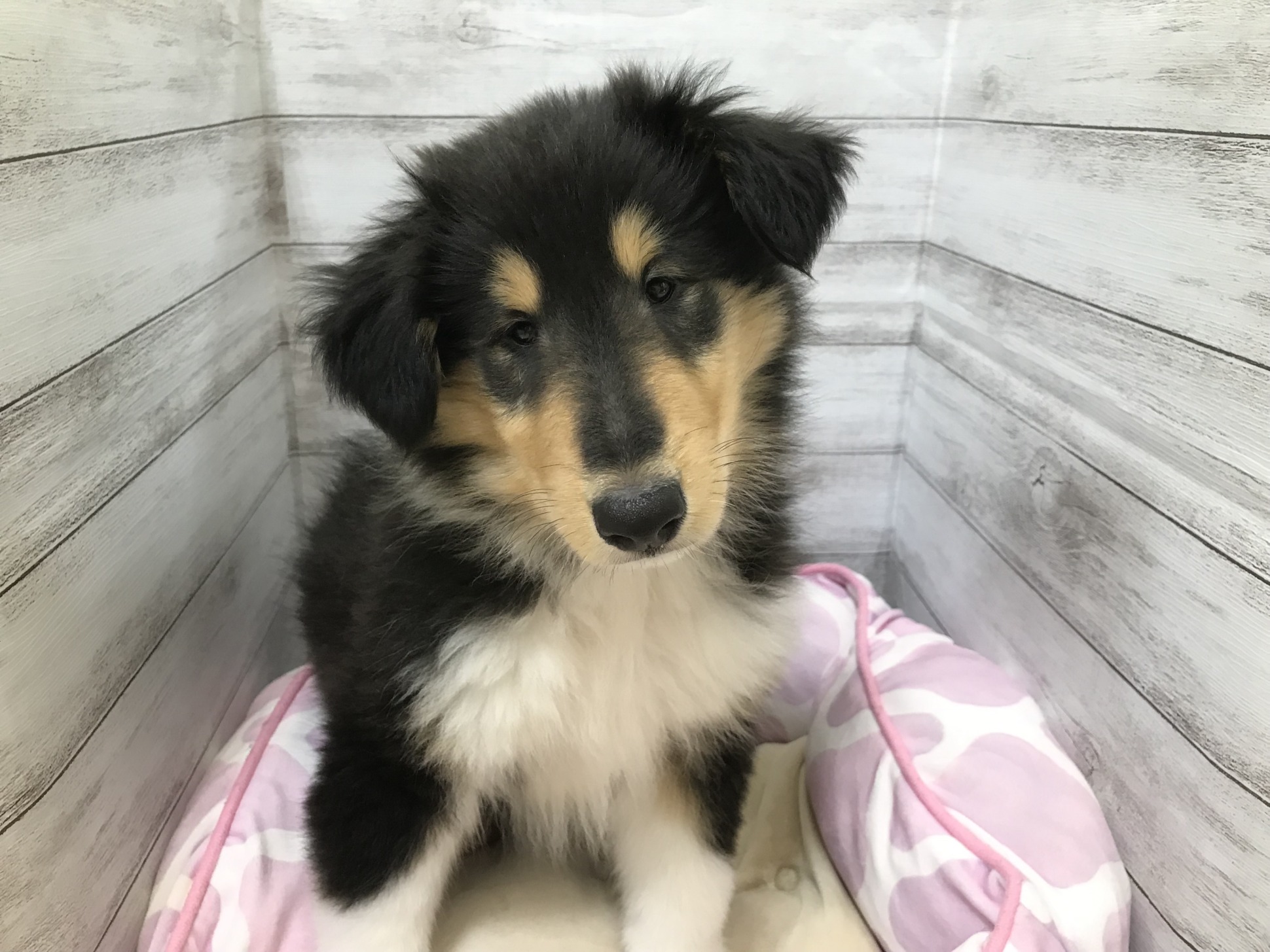 ★☆土日限定☆★