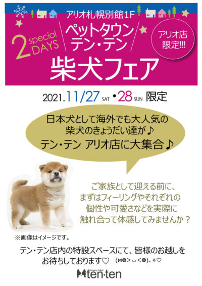 🐕柴犬フェア🐕