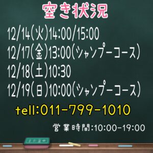 トリミング空き状況☆