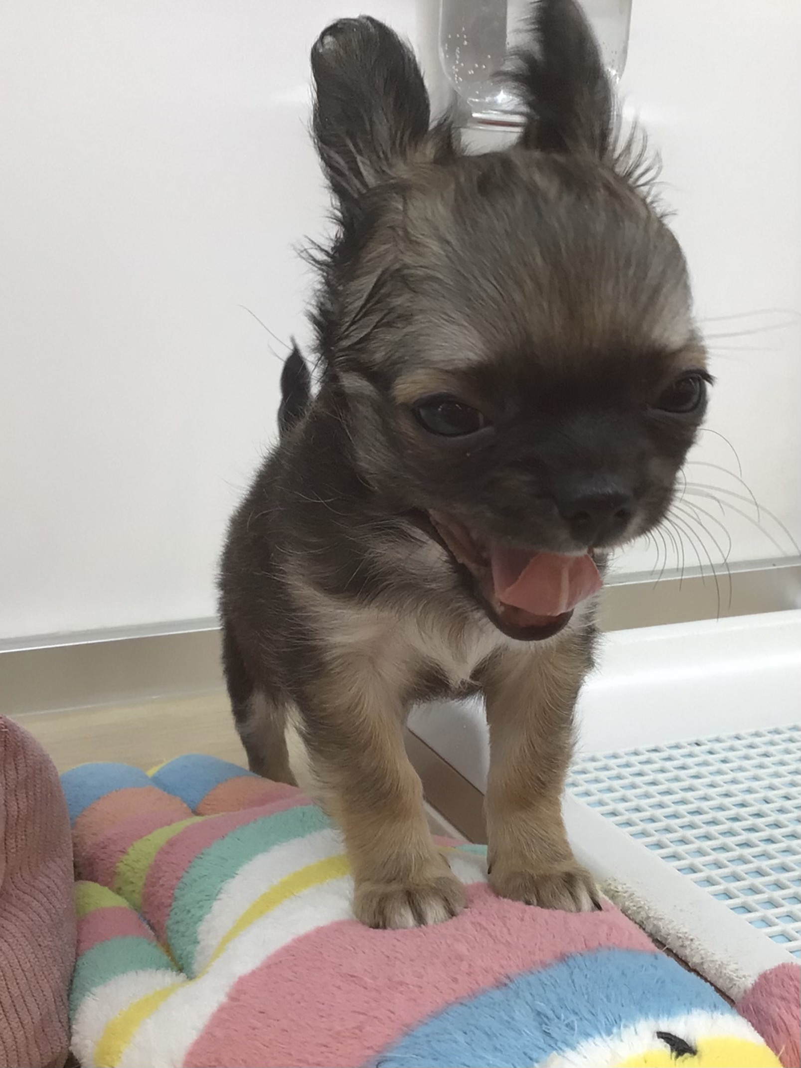☆お知らせ☆