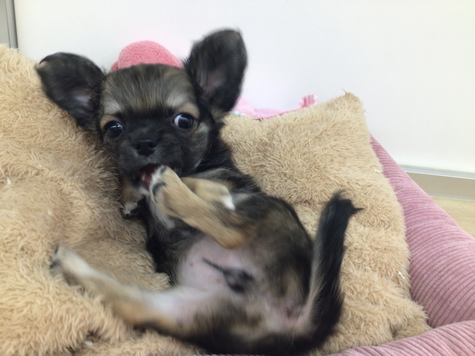 ☆いってらっしゃい！☆