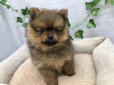 バトンタッチ👋