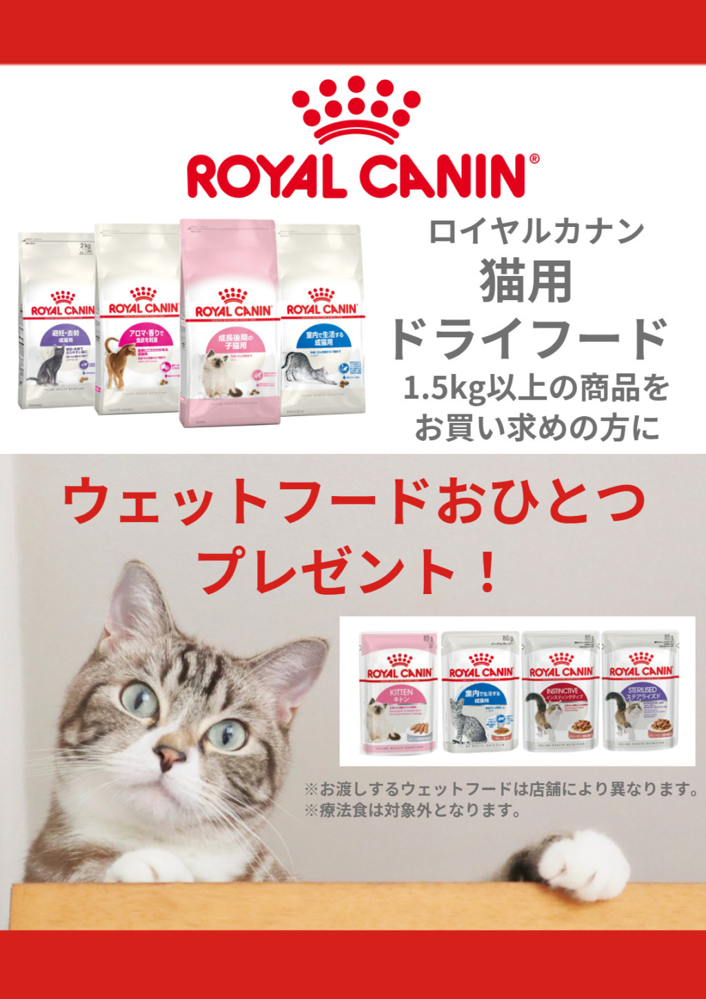 ロイヤルカナンキャンペーン中♡