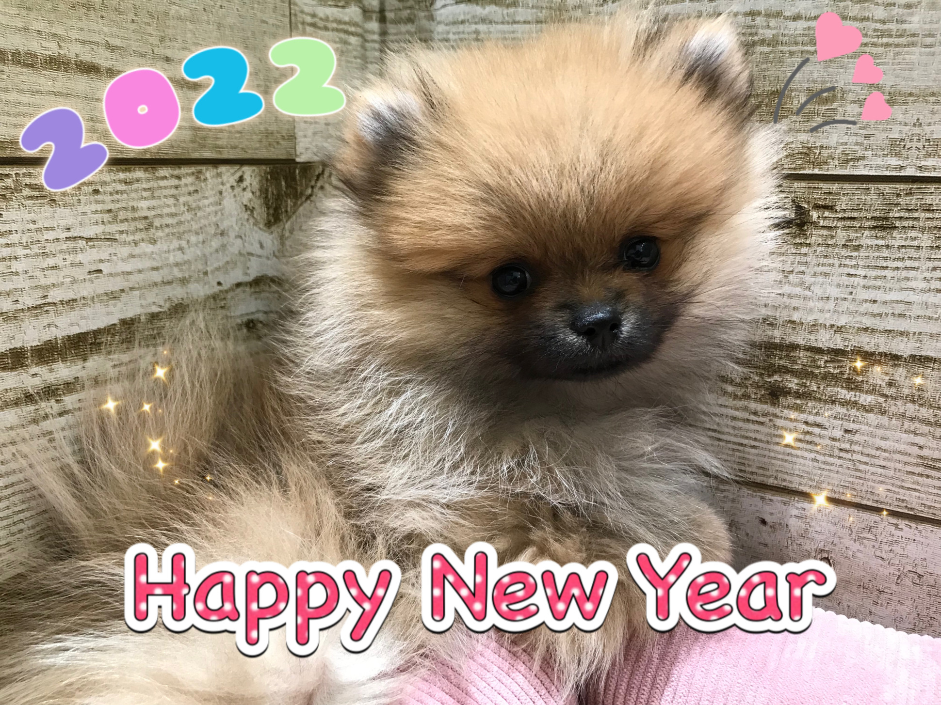 ☆あけましておめでとうございます☆