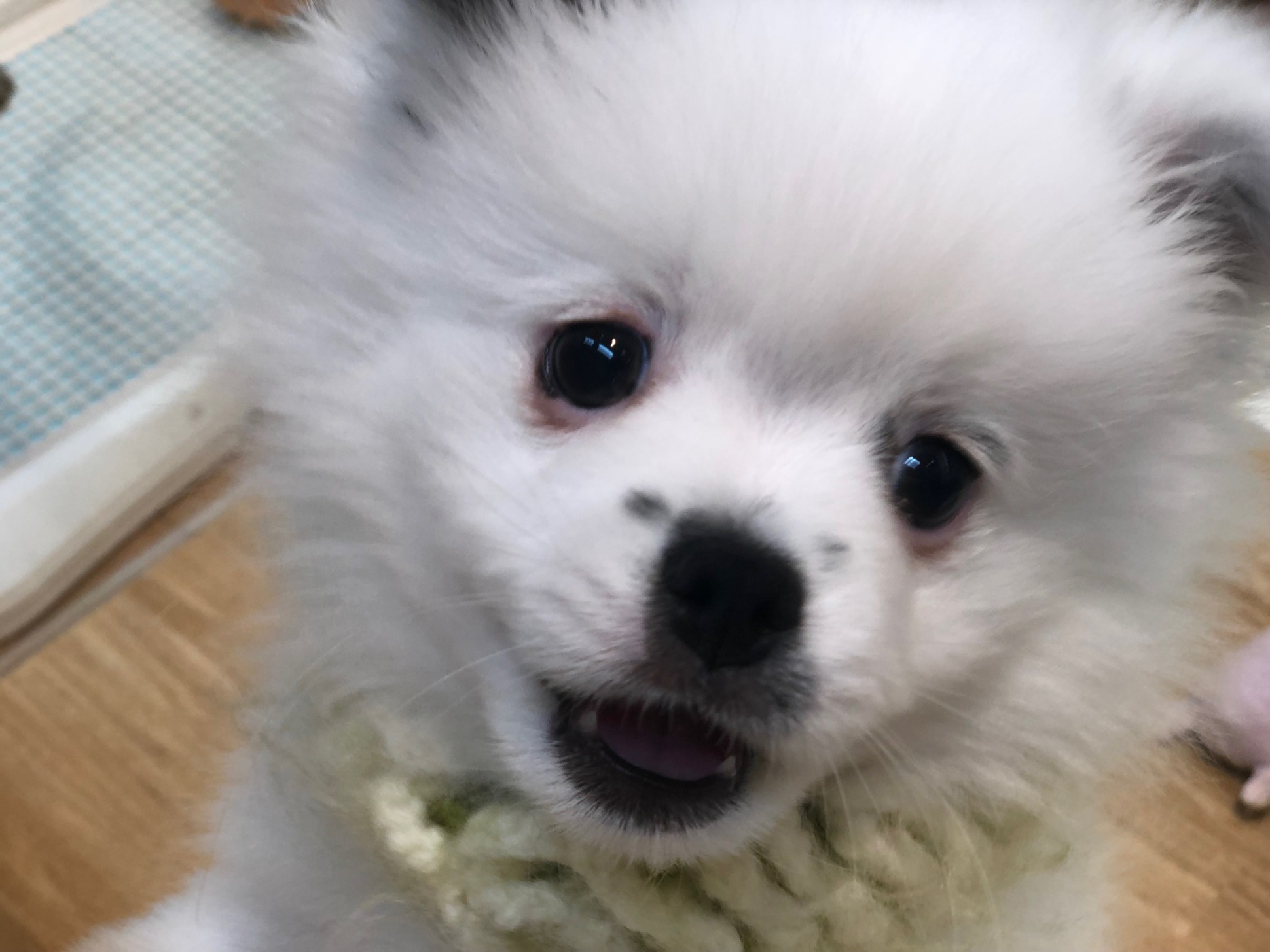 ○o。.お手入れ.。o○