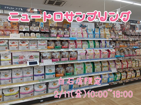 サンプリング会のお知らせ📣