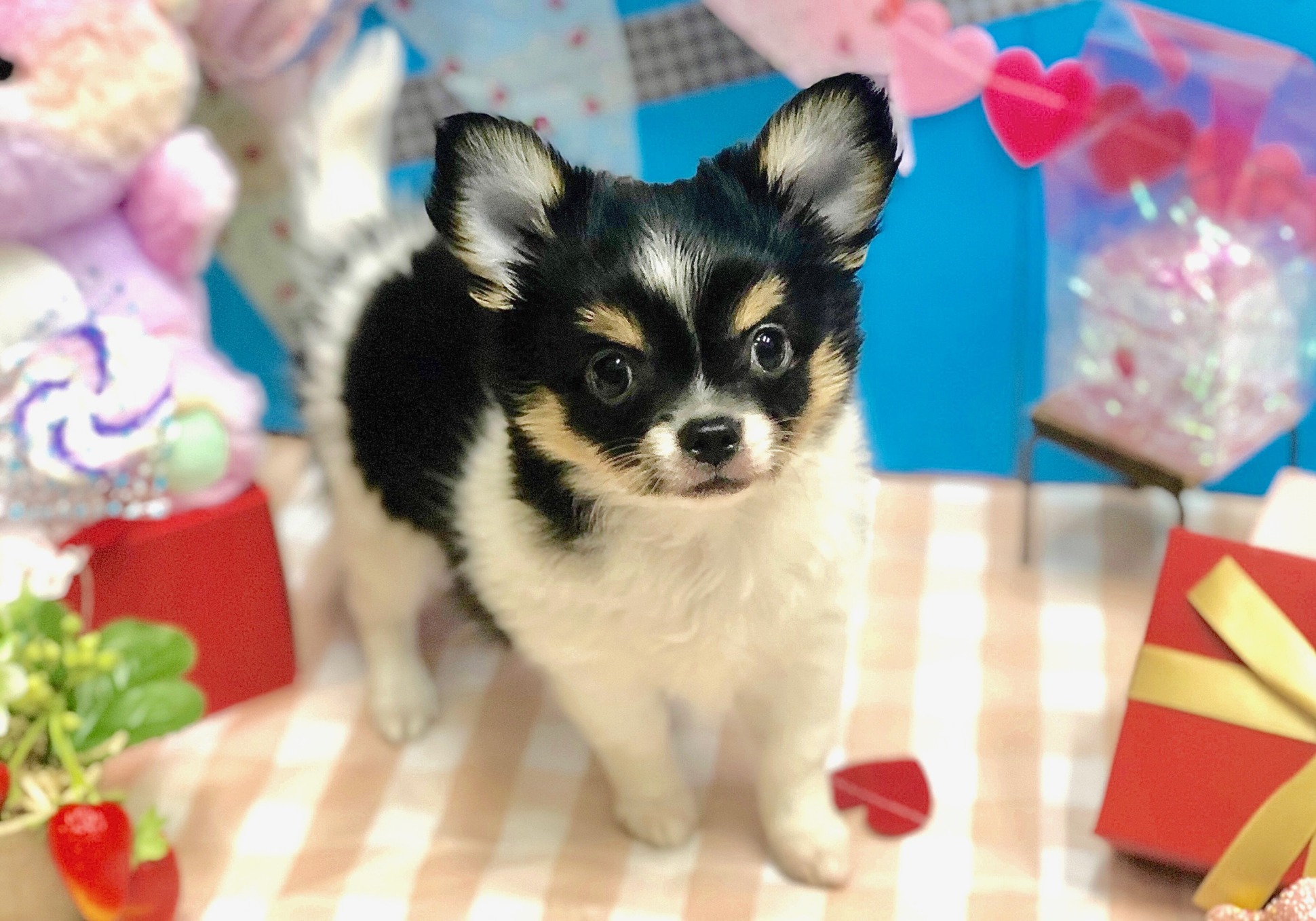 ♡バトンタッチ♡