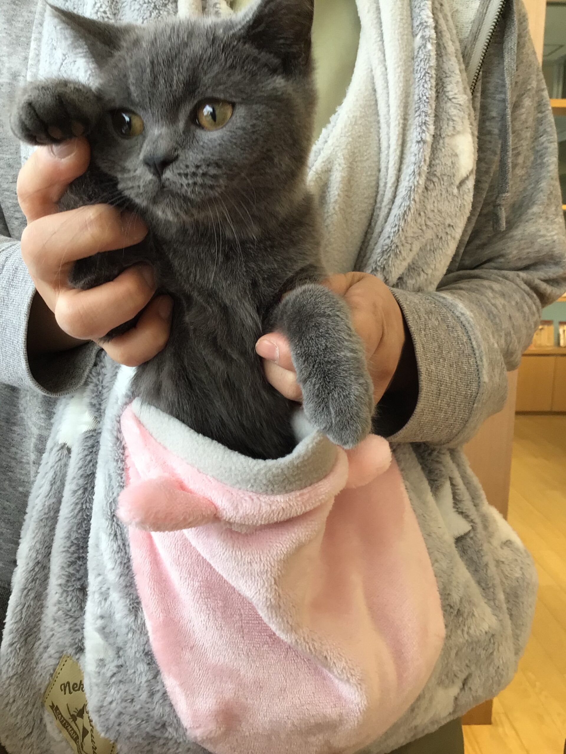 ブリにゃんの一日(^▽^)/