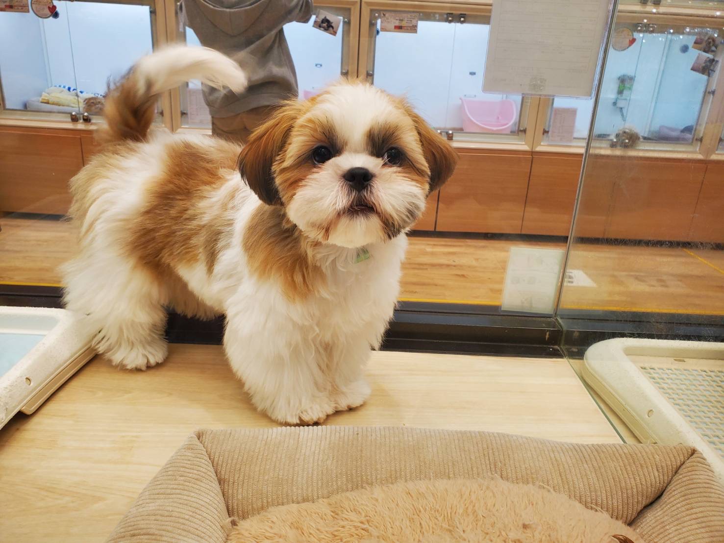 いってらっしゃい！こんにちわ！