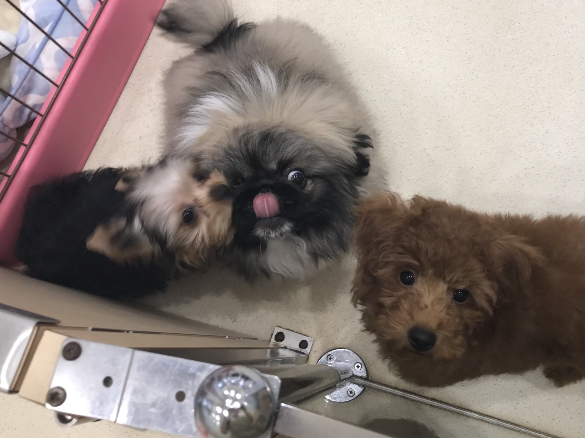 仲良し3人組♪