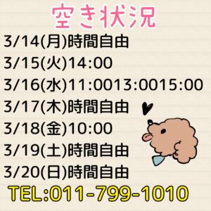 トリミング空き状況☆