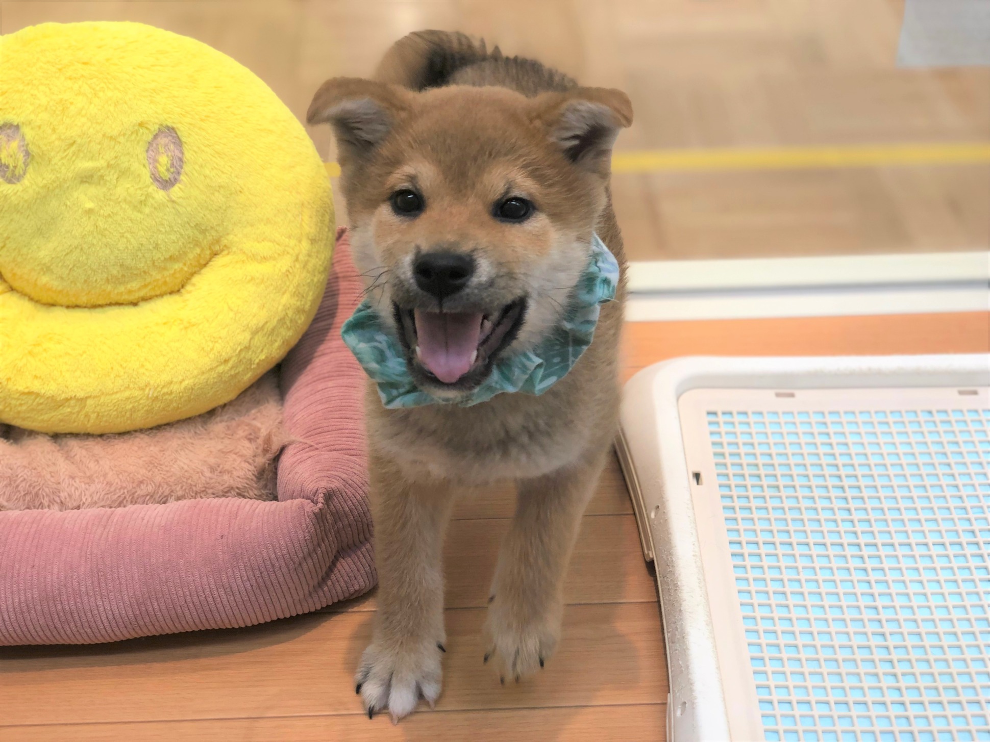 ☆バトンタッチ☆