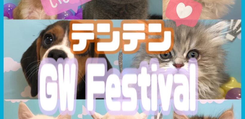 🐾NEW FACE🐾