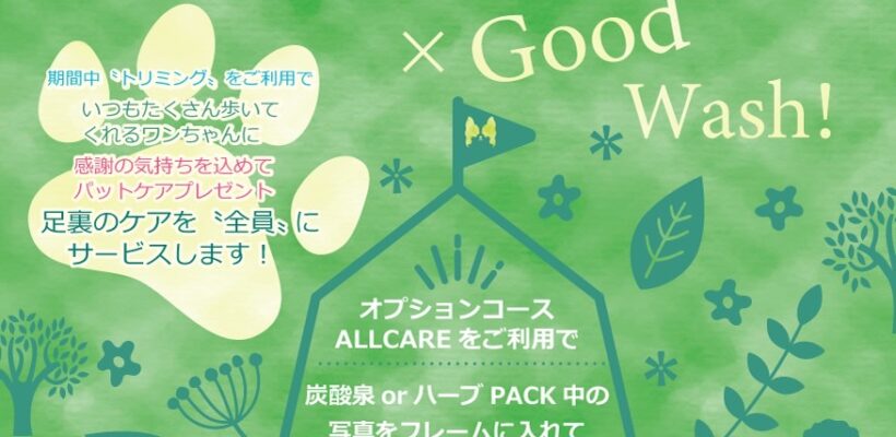 トリミングGWイベント開催！！