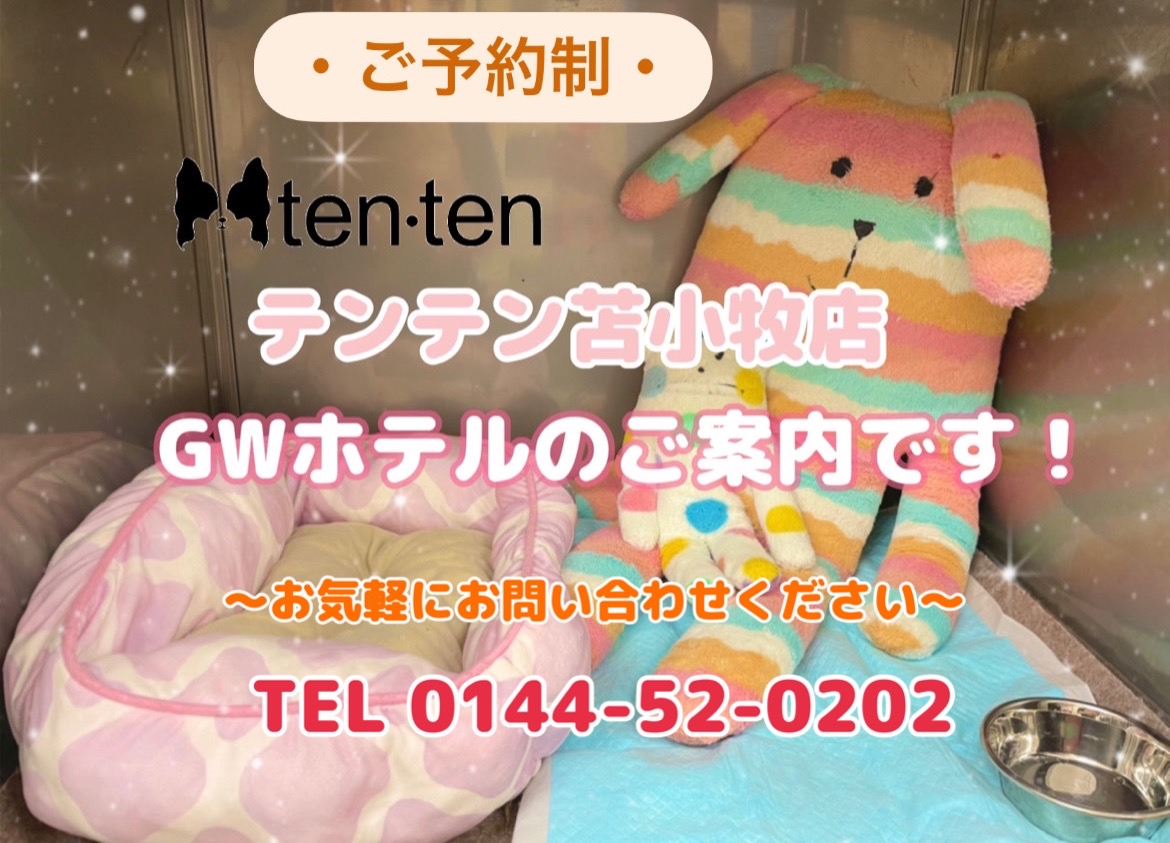 GWペットホテルの空き状況のお知らせ