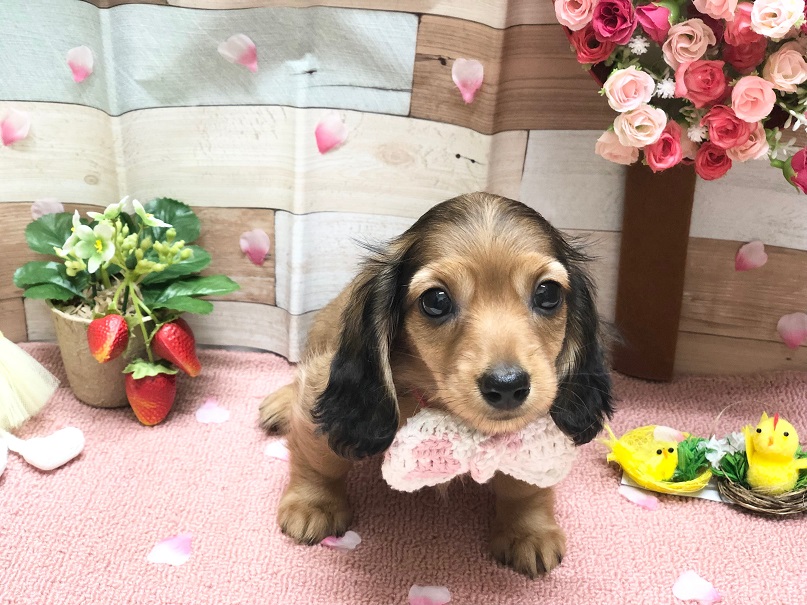 ♡バトンタッチ♡