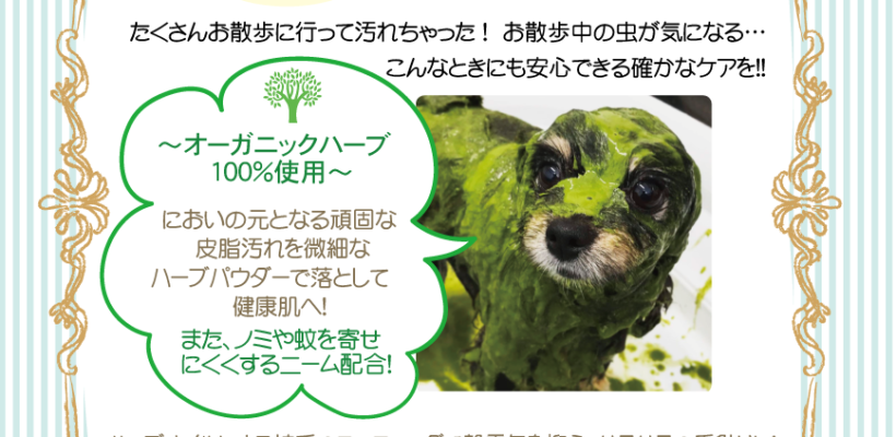 トリミングハーブパックキャンペーン☆