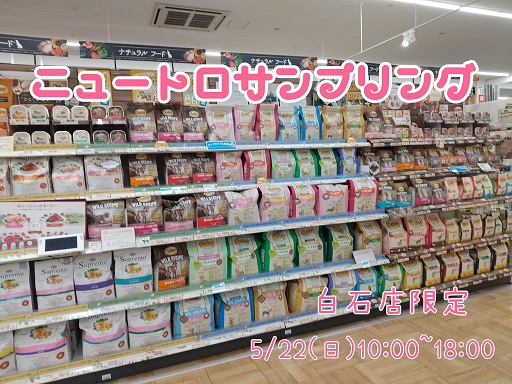 ☆ニュートロサンプリング☆