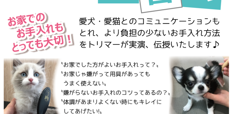 第二回お手入れ講習会開催！！！