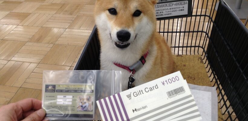 チャレンジカップ総合二位♡こむぎちゃん🐕