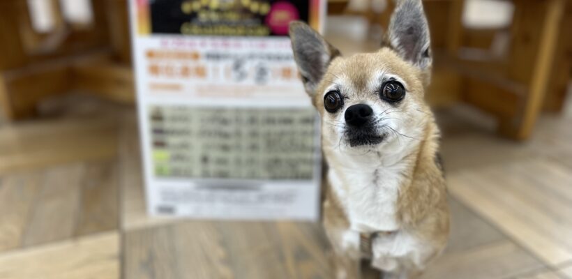 ＊表彰式＊