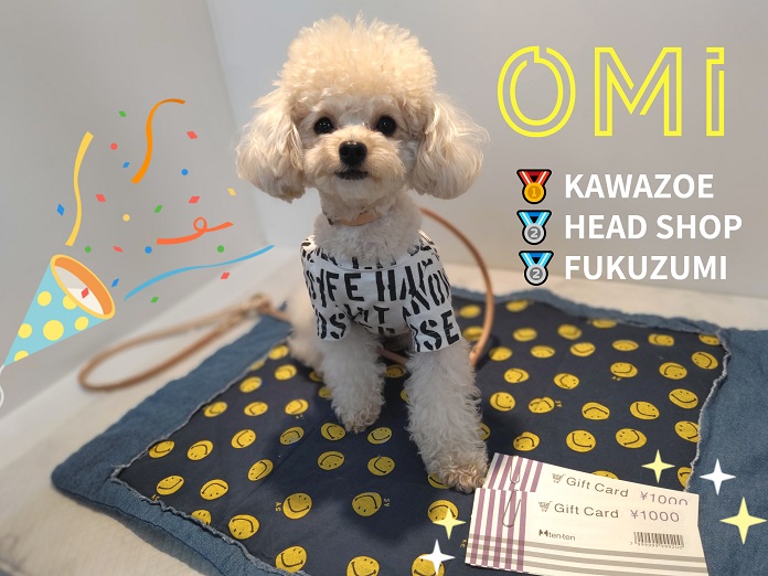 🎉チャレンジカップ入賞おみちゃん🎉