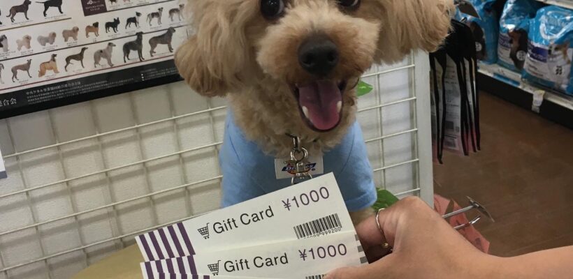 🌻チャレンジカップ入賞のししまるちゃんとおとちゃんご来店🌻