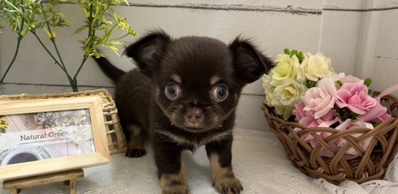 ＊NEWFACE＊