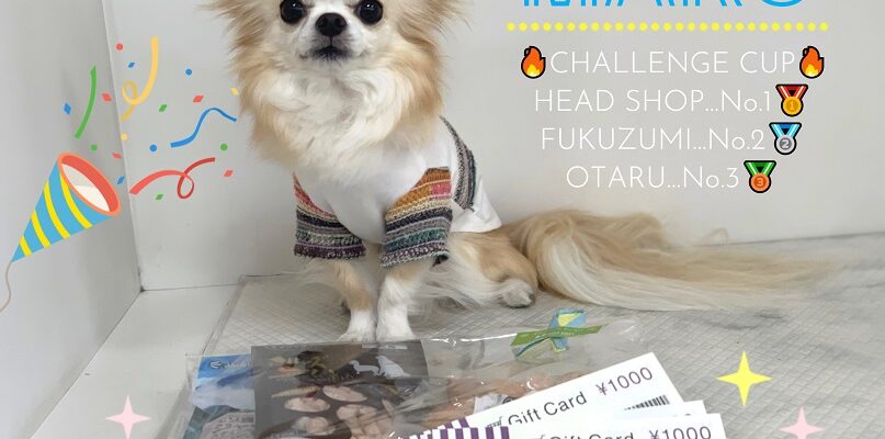 🎉チャレンジカップ入賞マロちゃんご来店🎉