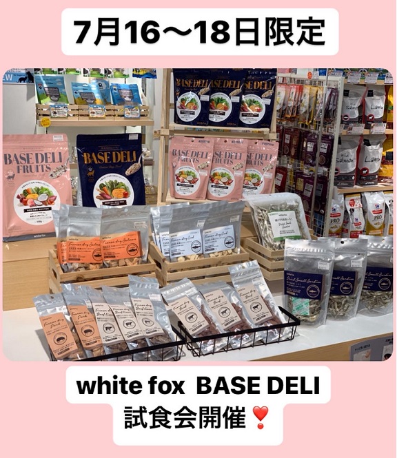 ★white fox BASE DELI試食会★