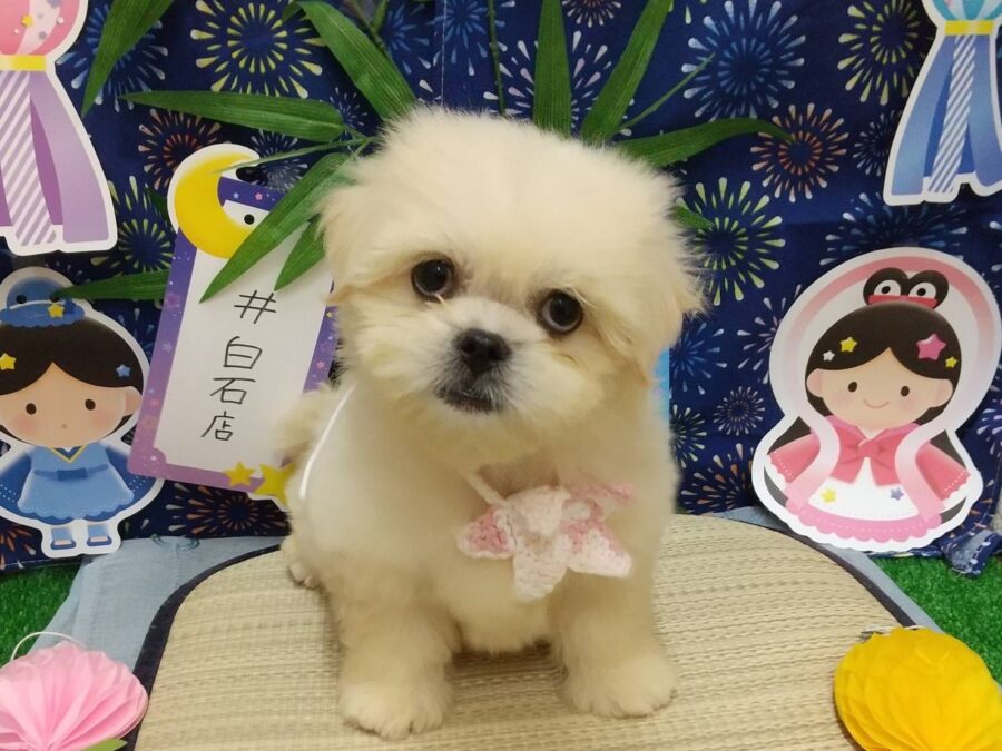 バトンタッチ✨