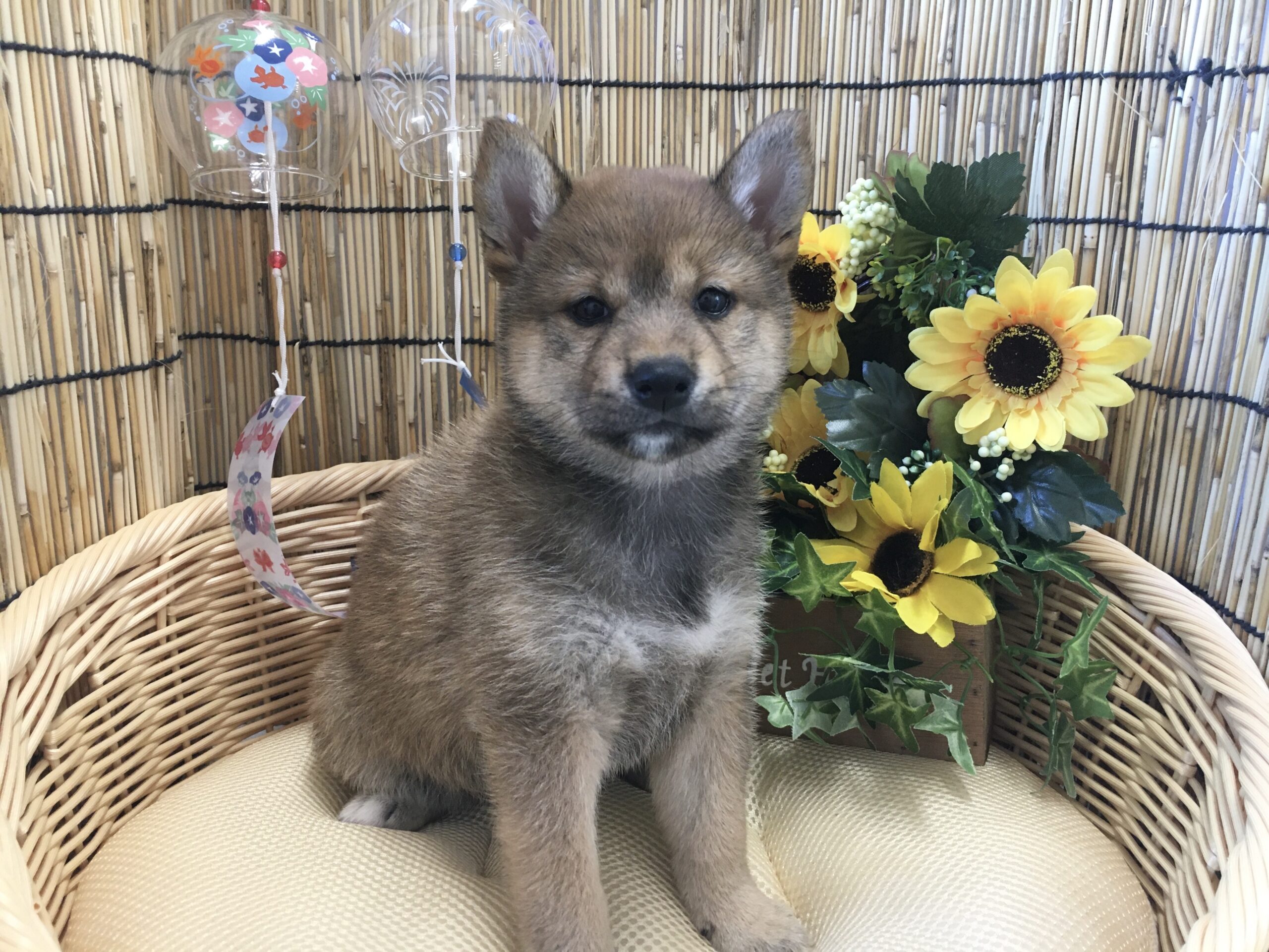 バトンタッチ‼