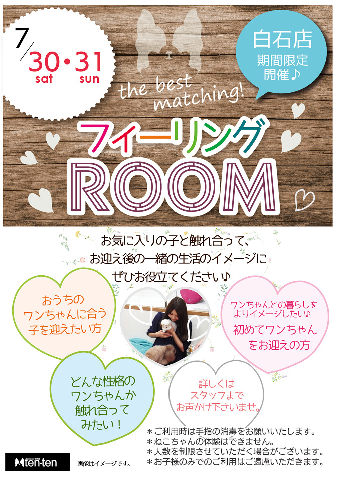 フィーリングルーム開催のお知らせ📣