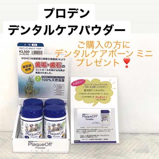 ★プロデン デンタルケアシリーズ入荷！★