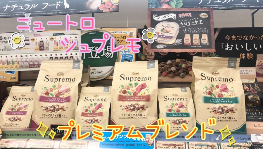✨新商品のご案内✨