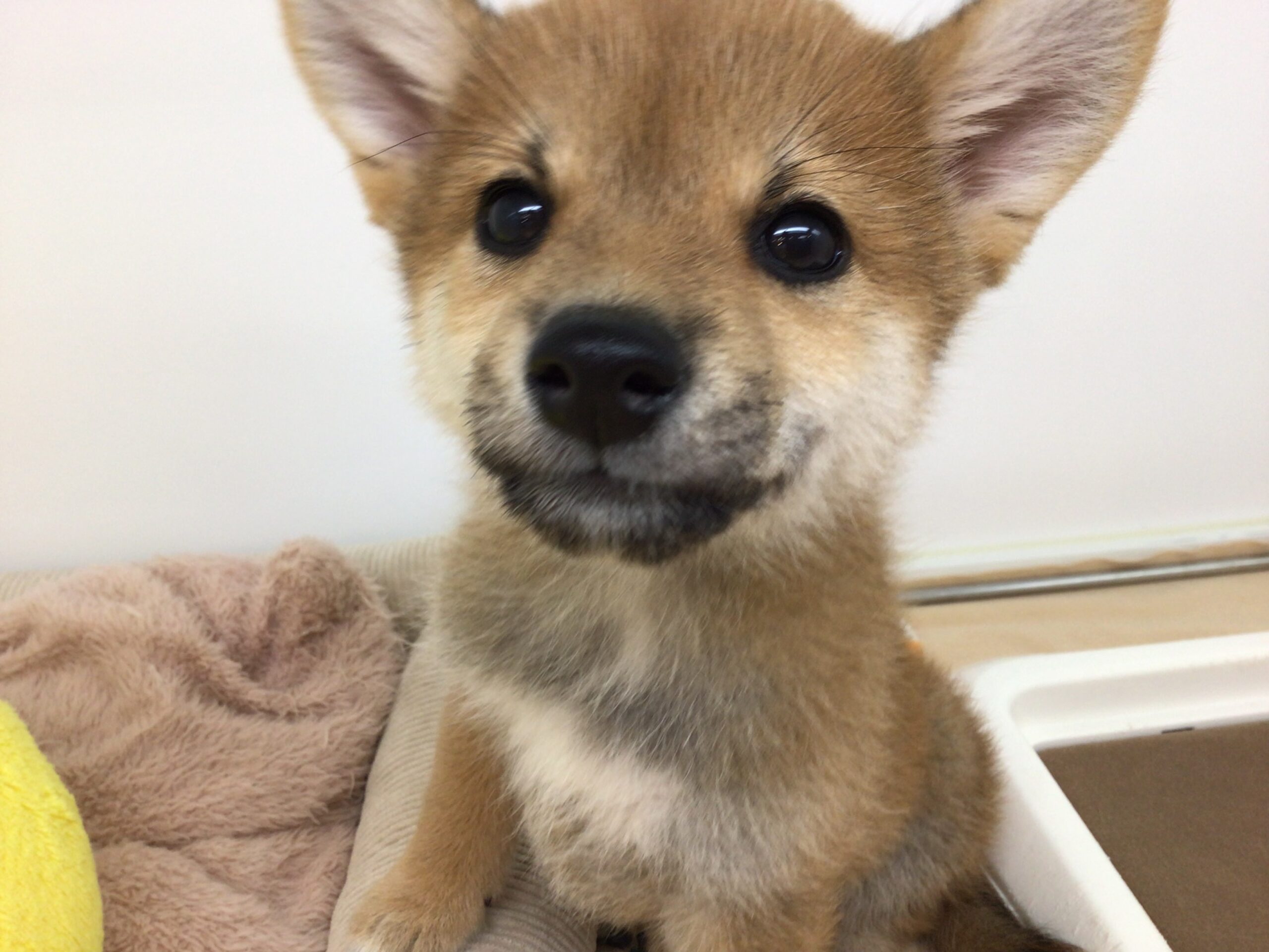 ⭐バトンタッチ⭐