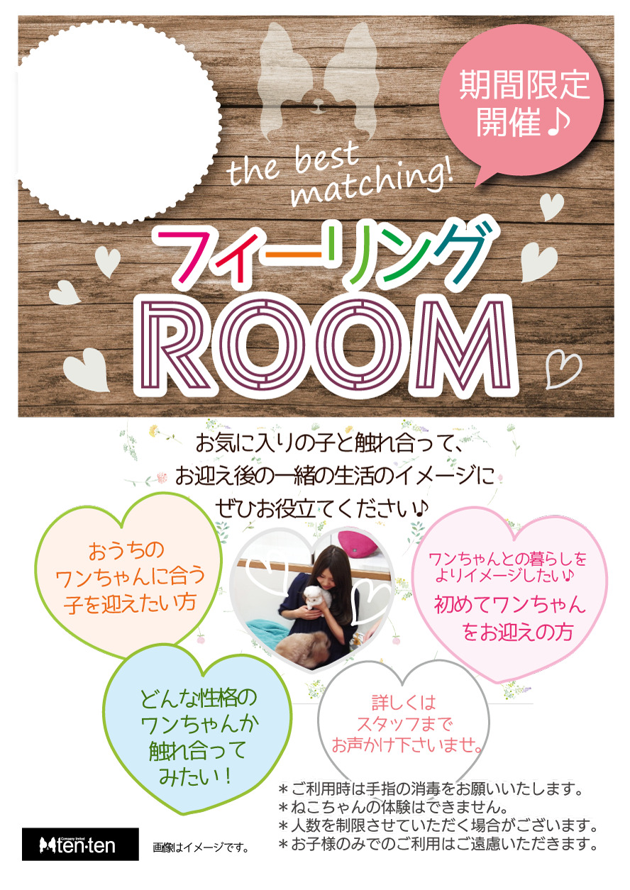 ＊イベントのお知らせ＊