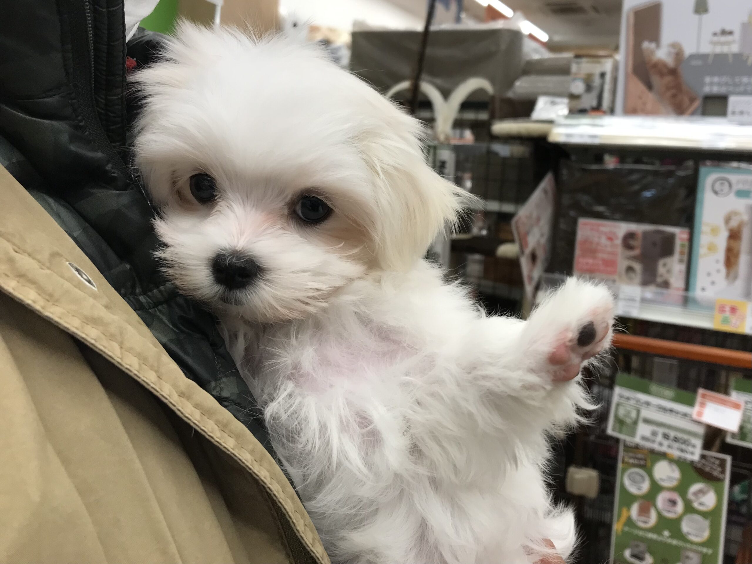 ☆お家決まりました☆