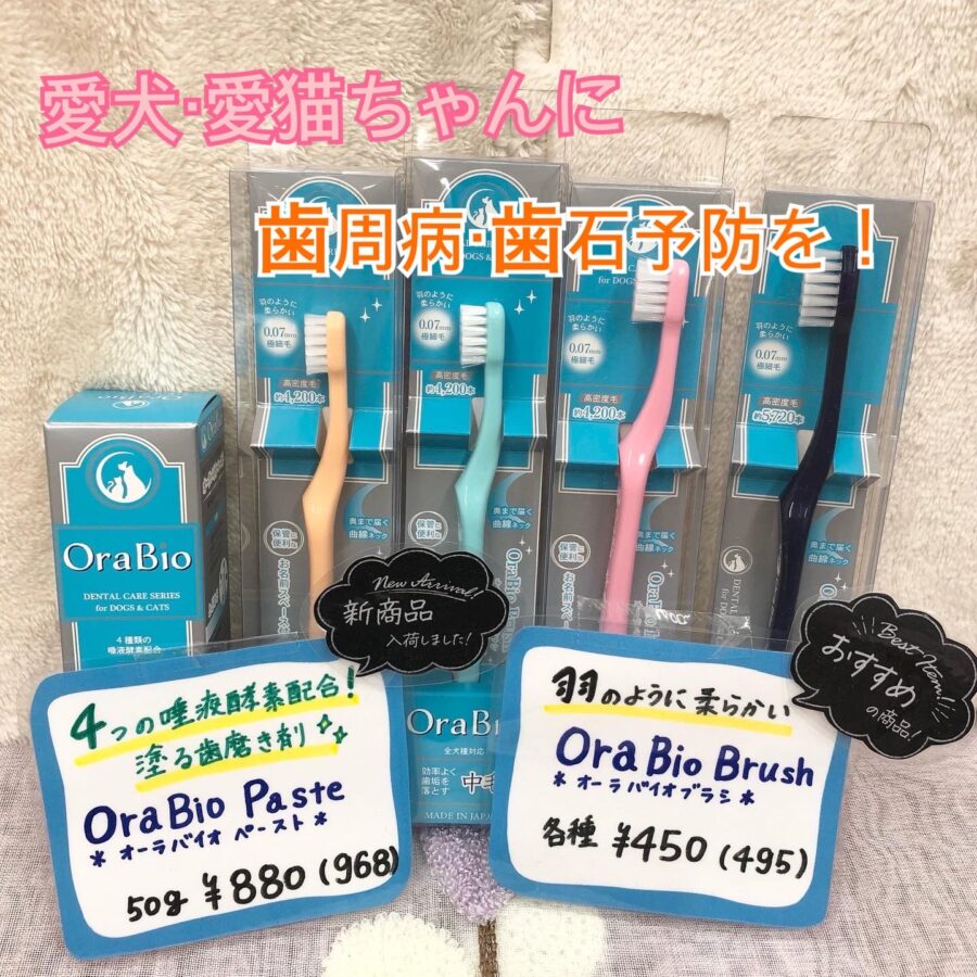 おすすめ商品✨