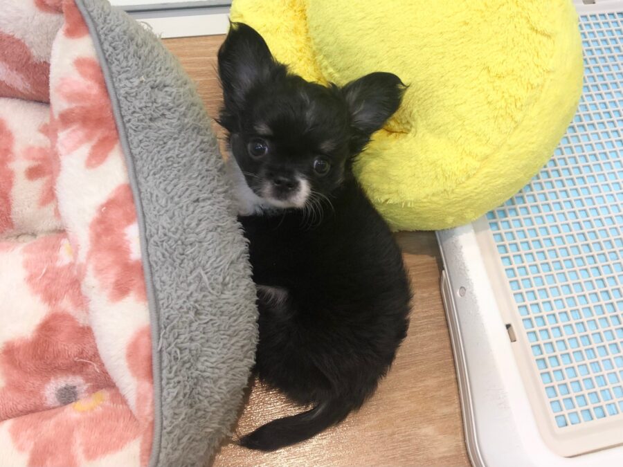 もぐもぐタイム👀