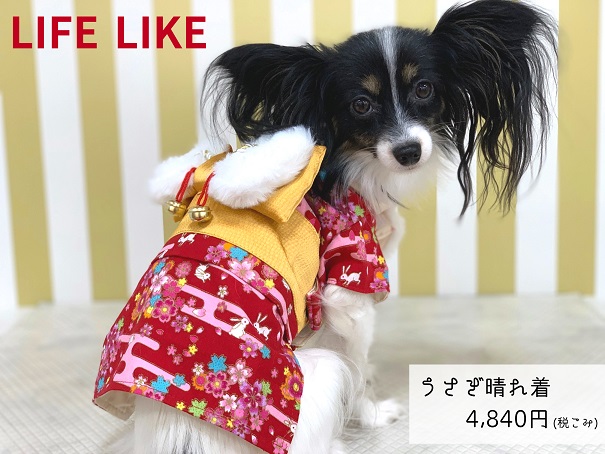 ★着物や袴が素敵♡LIFE LIKE★