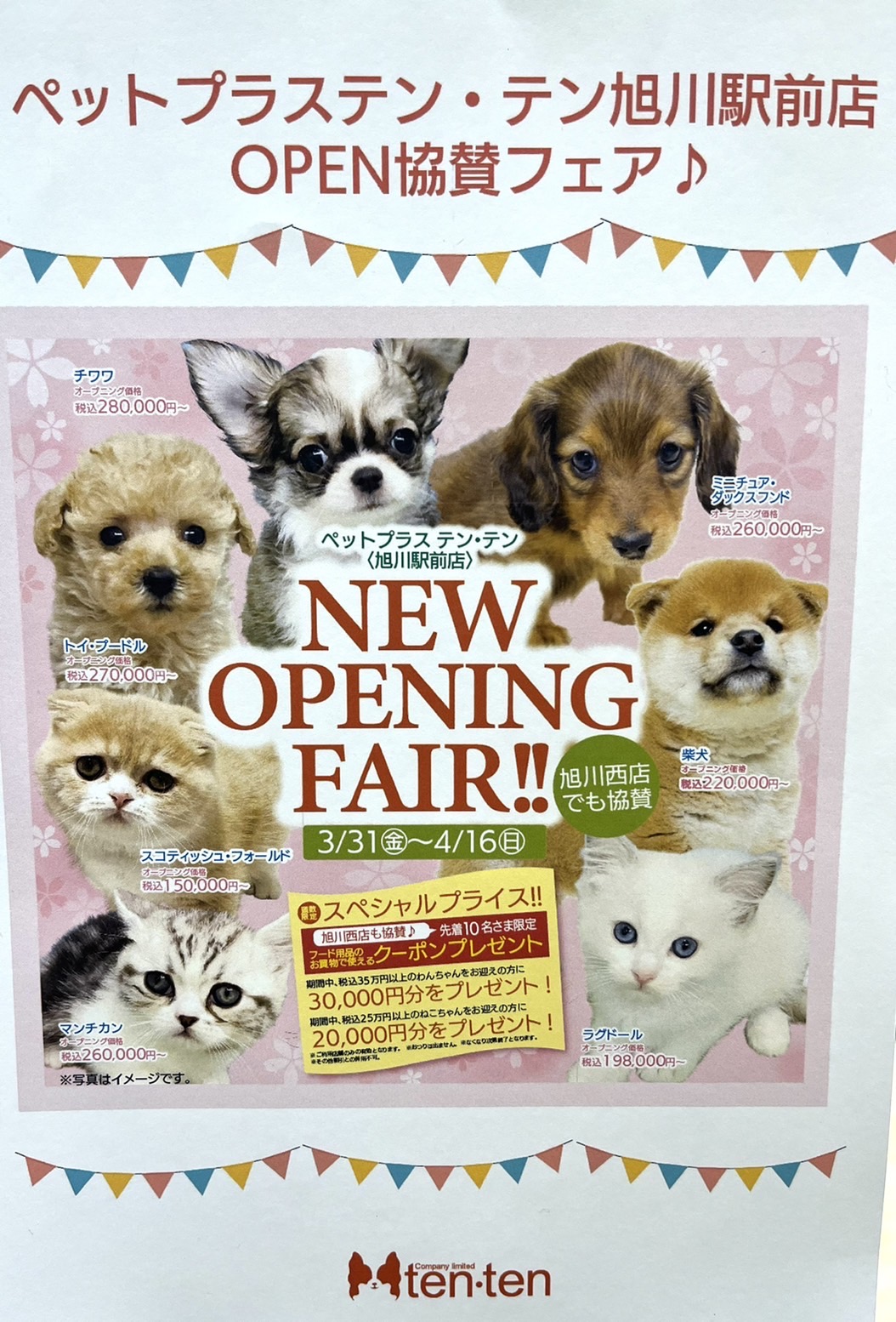 ペットプラステン・テン旭川駅前店OPEN協賛フェアのお知らせ🐶🐱💕