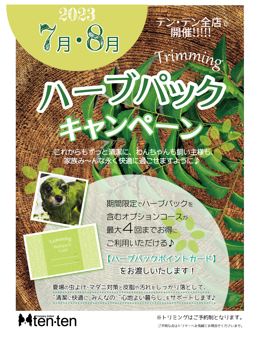 ハーブパックキャンペーン✨